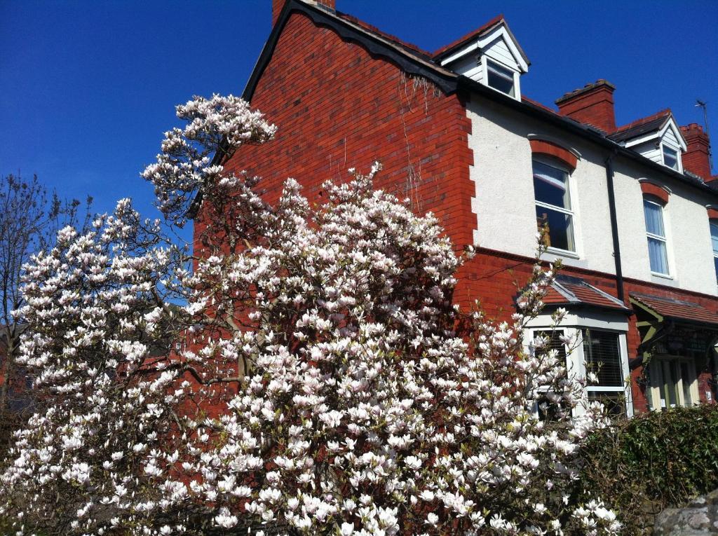 Llangollen Hostel Guest Rooms - No Dormitories - Self Catering Eksteriør billede